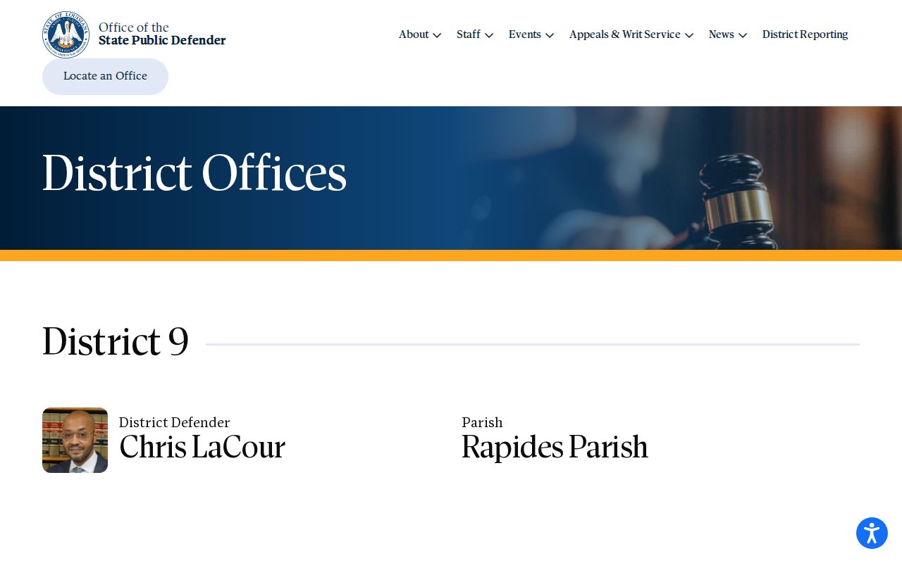 Rapides Parish criminal history District 9 public defender records